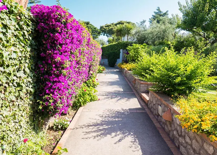 Hotel Ceselle Anacapri (Isola di Capri)